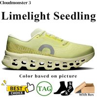 114 Limelight Seedling
